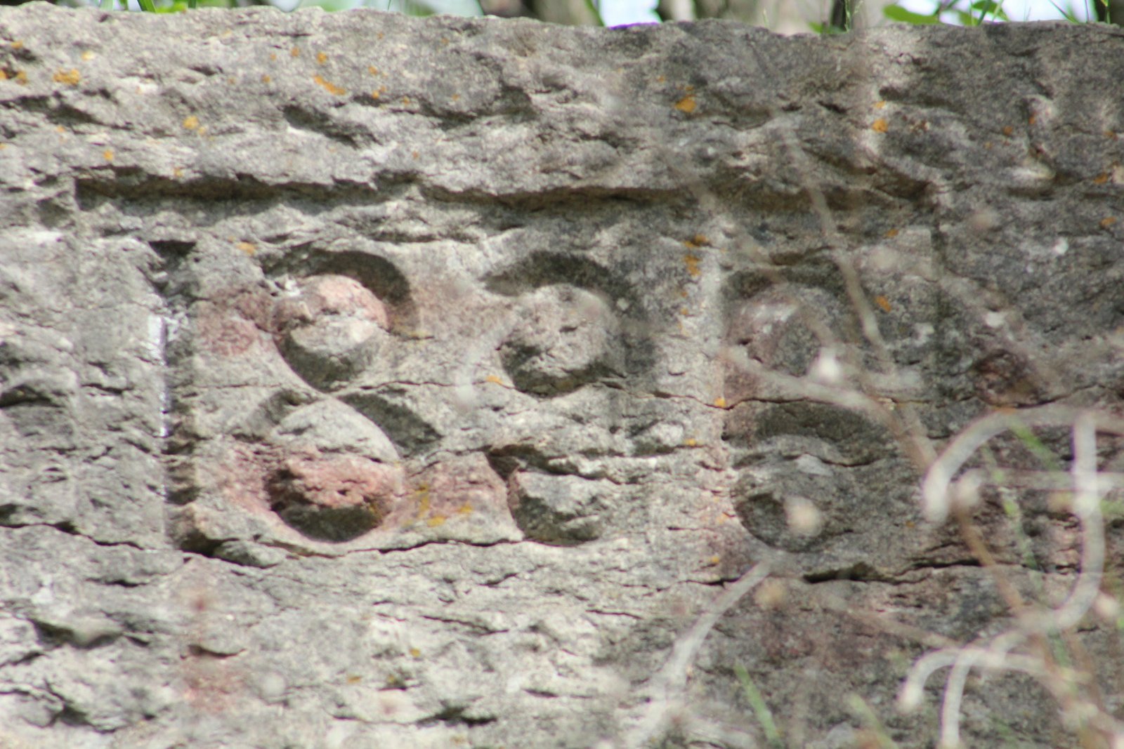 Date stone